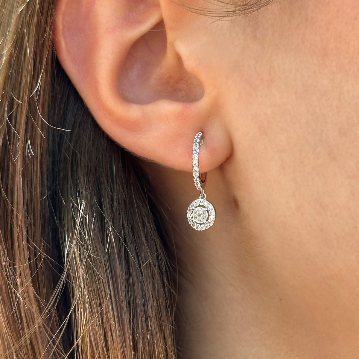 CRIOLLA CIRCULO MULTICIRCONITA